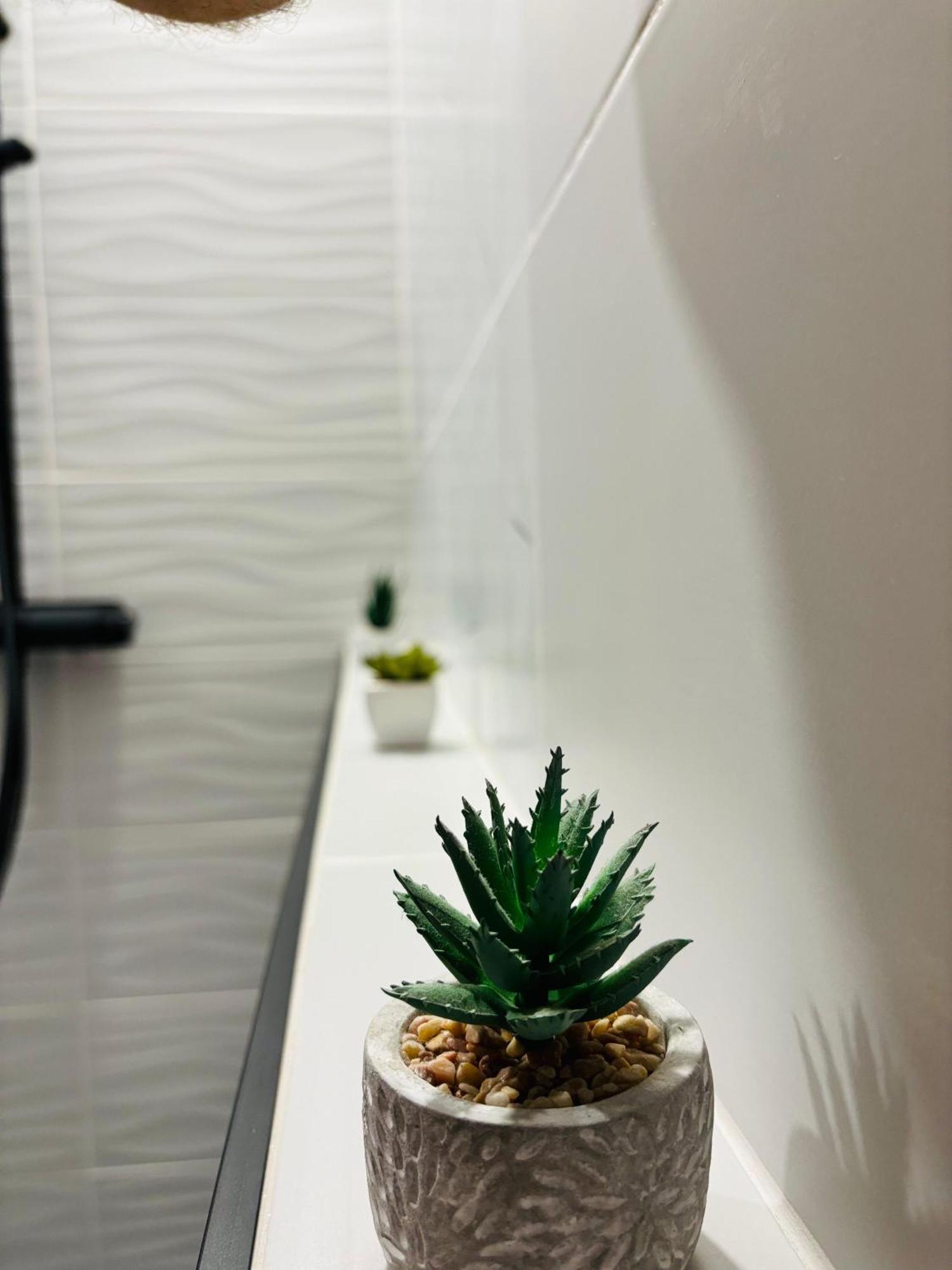 Amos Apartment-Ultracentral-Free Parking Kluż-Napoka Zewnętrze zdjęcie