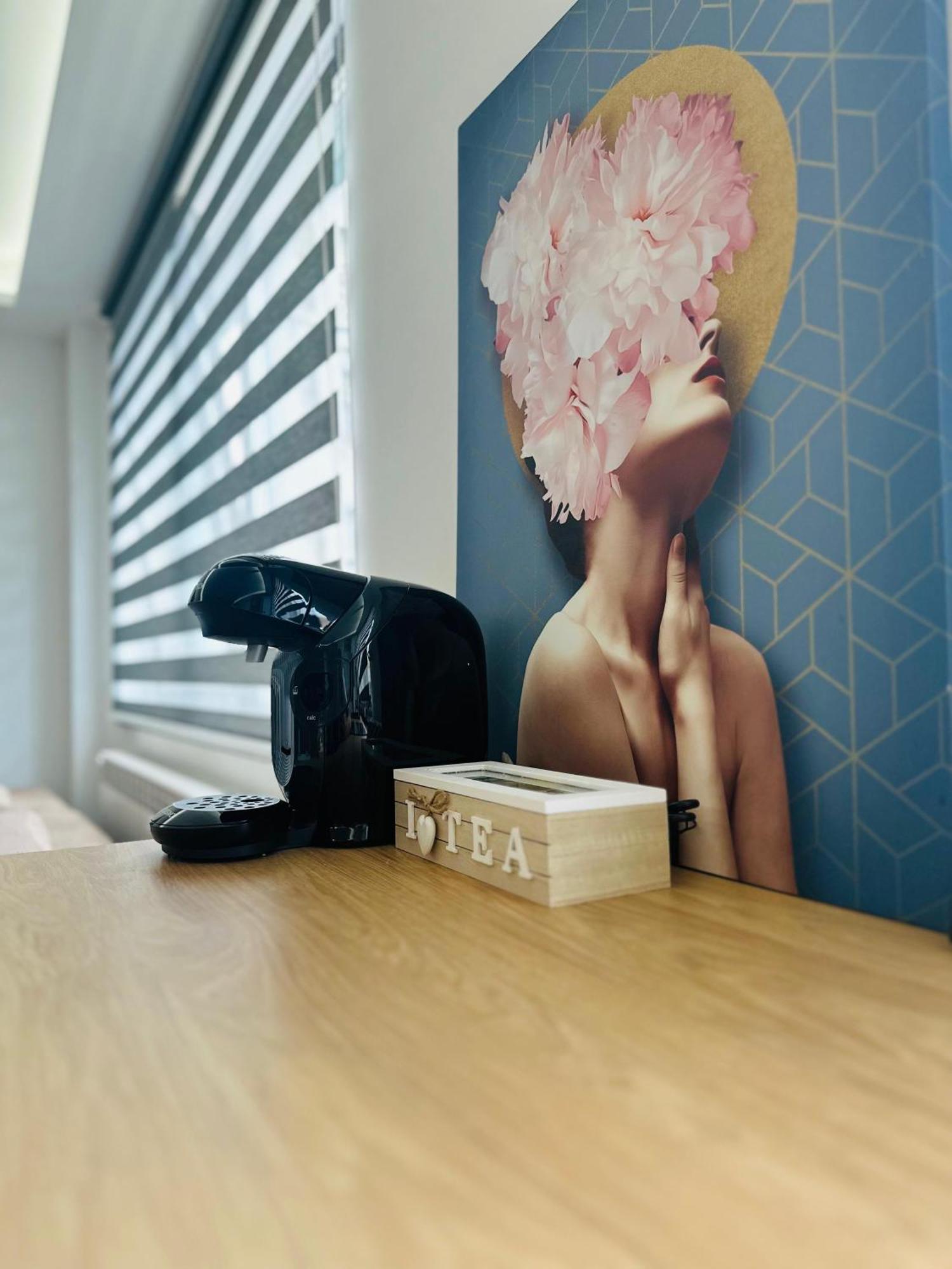 Amos Apartment-Ultracentral-Free Parking Kluż-Napoka Zewnętrze zdjęcie